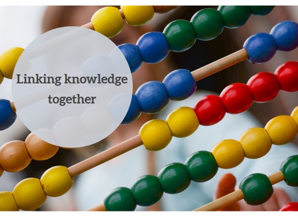 bestinsightsphere_competitive_edge